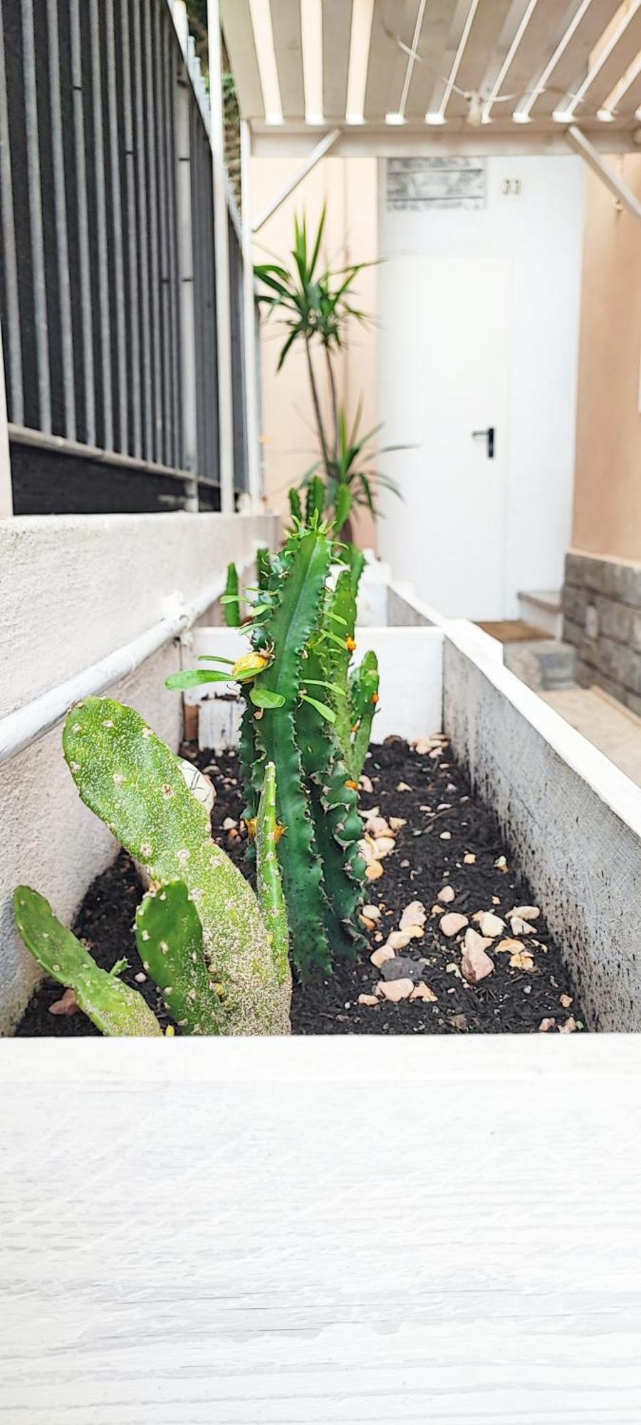 Residenza Bibliososta Ventimiglia Exterior foto